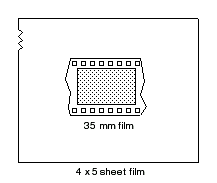 4 x 5 and 35 mm film sizes