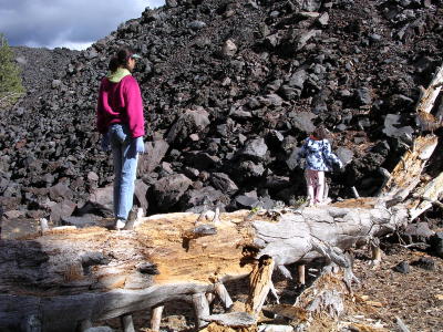 Lava rock wall