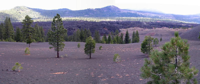 Cinder Cone lava flow panorama