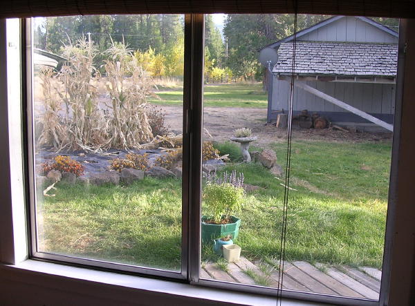 Hat Creek Cabin view