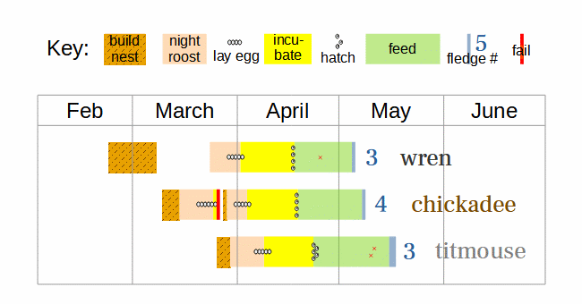 3-species nesting activity 2025