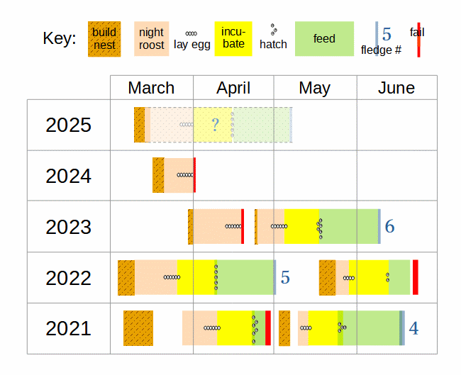 Chestnut-backed chickadee nesting activity 2021-2025